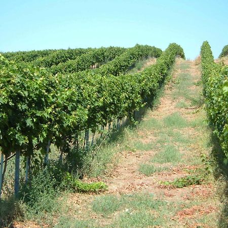 Azienda Agricola Sinisi Черветере Экстерьер фото